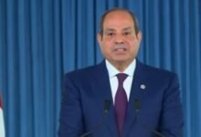 الرئيس غبد الفتاح السيسي