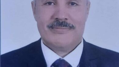 خاص| اقتصادي يوضح المحاور الرئيسية لجعل مصر مركز إقليمي لوجستي 