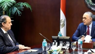 الاستثمار: خلال عامين ستتحول مصر إلى المركز الإقليمي لتصنيع وتداول المنسوجات