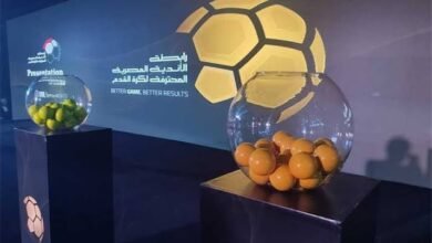 الدوري المصري