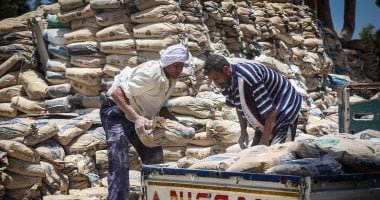 استقرار سعر الأسمنت اليوم السبت 23 أغسطس 2025