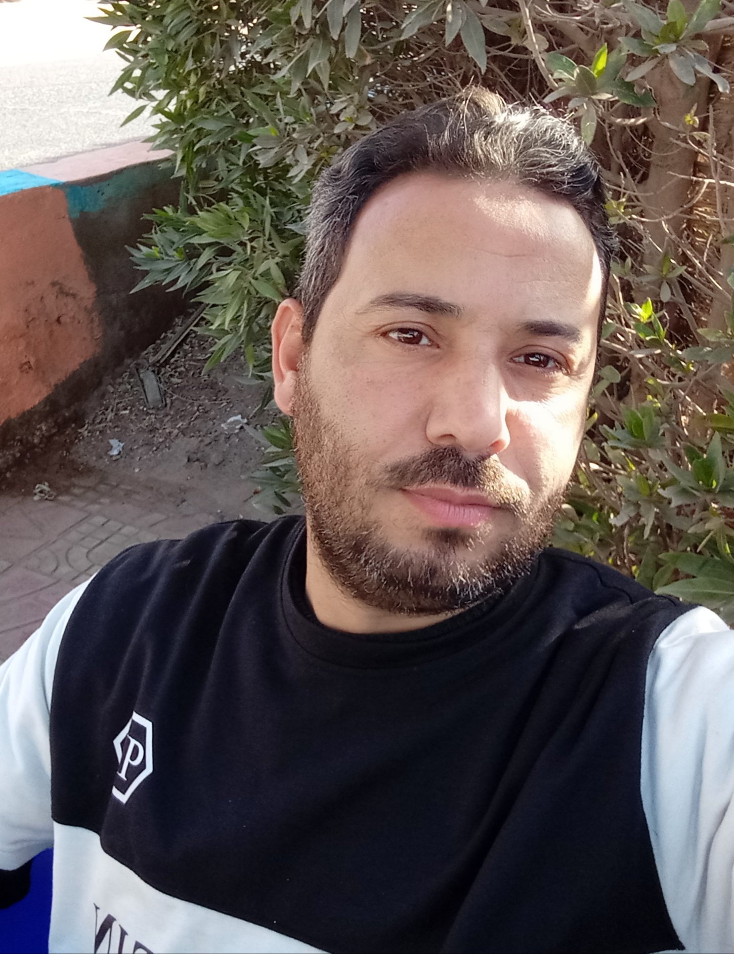 صورة محمود النادي