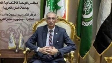 الشعراوي: مصر و السعودية شراكة استراتيجية شاملة نحو الهيمنة الجيواقتصادية