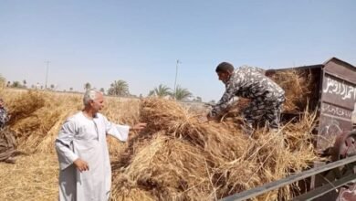 أبو صدام : 2350 جنيه سعر اردب الاقماح لموسم 2025-2026 سوف يساهم في زيادة مساحات زراعة القمح