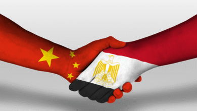 قمة "منظمة شنغهاي للتعاون بلس" تعزز العلاقات المصرية الصينية اقتصاديا و سياسيا