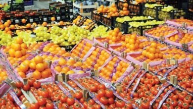 الوزراء تركز على الأداء المميز للصادرات الزراعية المصرية