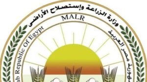 إنجازات كبيرة لقطاع الزراعة في 2025.. متحدث الوزارة يكشف التفاصيل