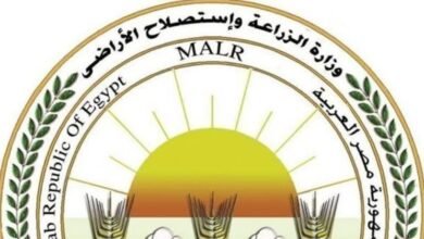 إنجازات كبيرة لقطاع الزراعة في 2025.. متحدث الوزارة يكشف التفاصيل