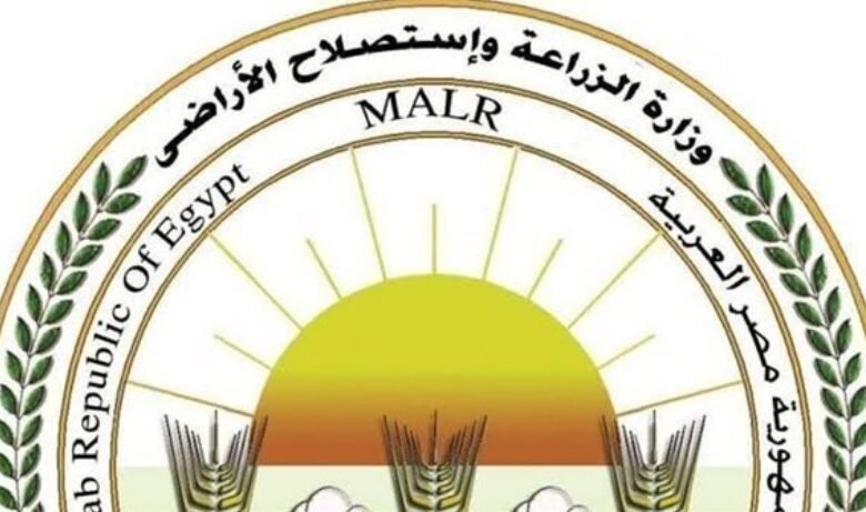 إنجازات كبيرة لقطاع الزراعة في 2025.. متحدث الوزارة يكشف التفاصيل