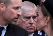 الأمير والأميرة ويليام وكيت يعبران عن قلقهما العميق من فضائح إبستين