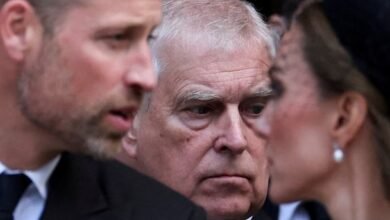 الأمير والأميرة ويليام وكيت يعبران عن قلقهما العميق من فضائح إبستين