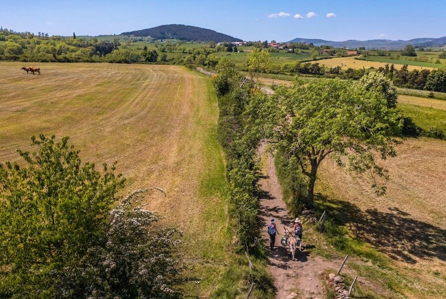 على خطى ستيفنسون