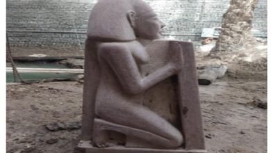 ما خَبَّأته الأرض لسنوات.. حفرة سرية في البدرشين تنتهي بضبط تمثال أثري ضخم و5 متهمين