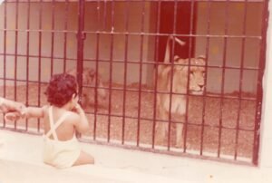 دبي.. مدينة لا تنام بين الصواريخ: كيف يتمسك المقيمون بوهم الاستقرار وسط العاصفة؟