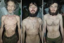 عــــــــــــاجل | “جوع على الجبهة”.. فضيحة تهز الجيش الأوكراني وإقالة قائد بعد صور صادمة!