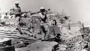 عقود من الكرامة.. سيناء "أرض الفيروز" تتنفس الحرية بعلم مصر الخفاق