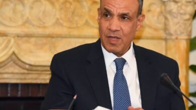 وزير الخارجية المصري يؤكد دعم مصر للبنان".