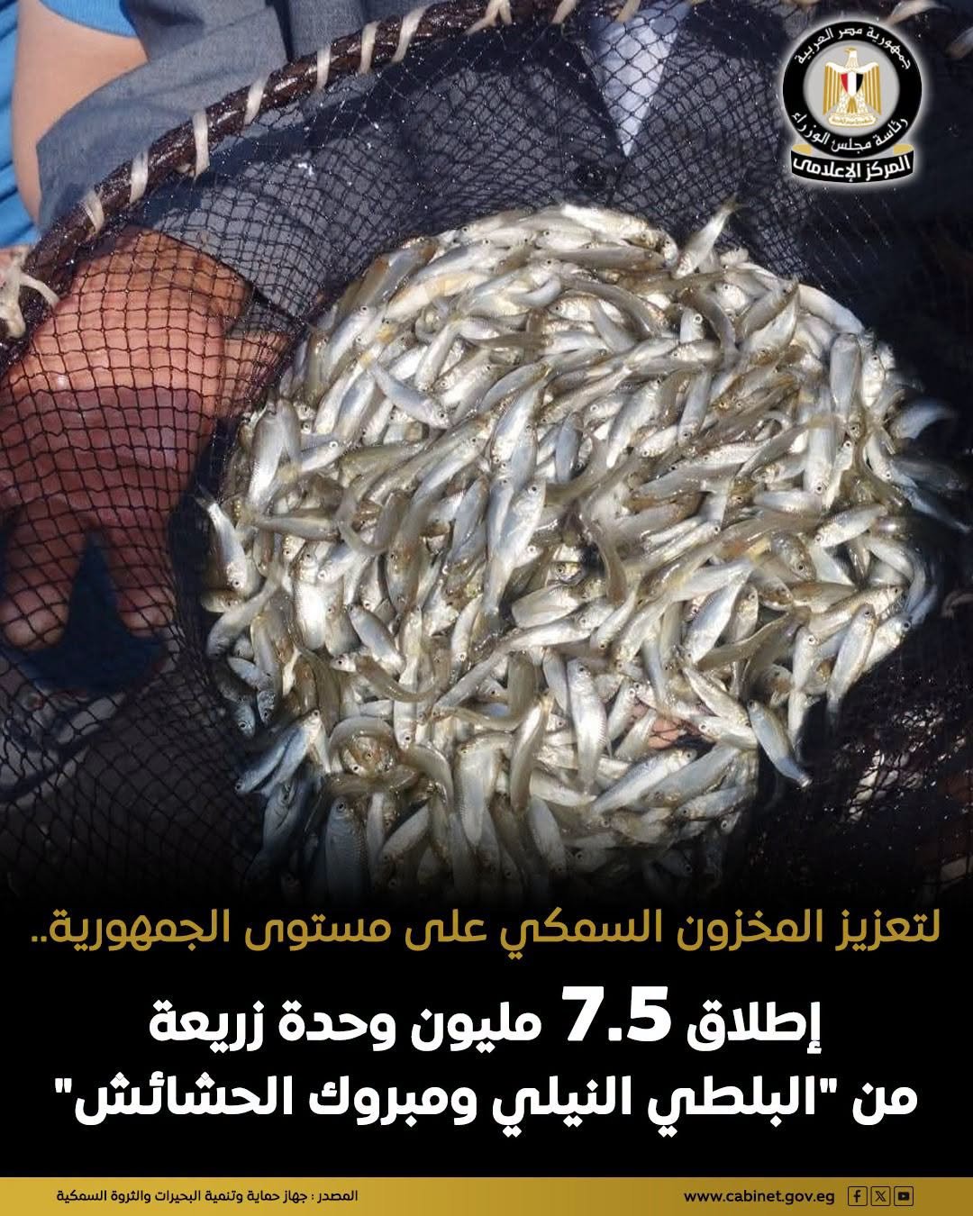 إطلاق زريعة أسماك في نهر النيل