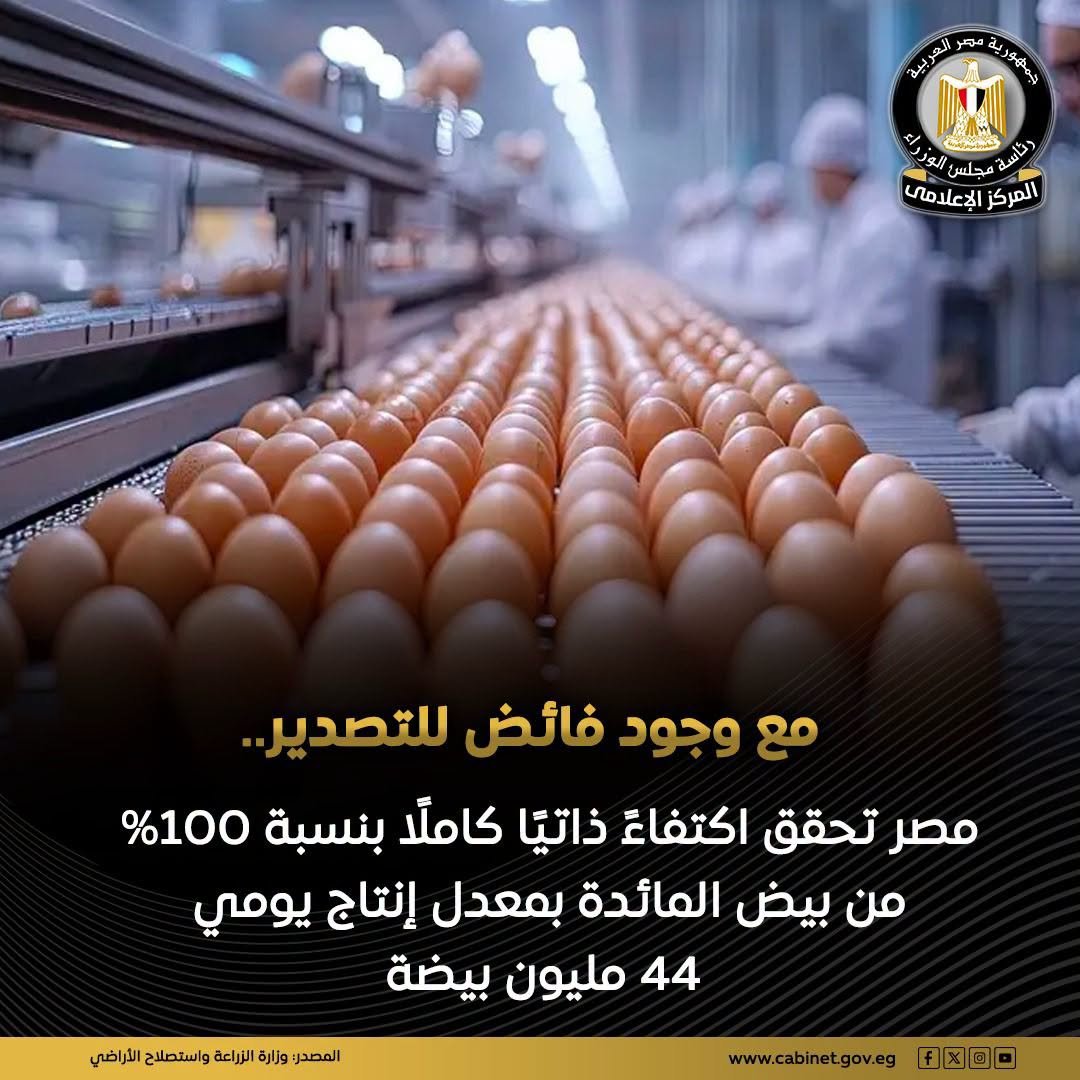 قفز إنتاج بيض المائدة من 9.3 مليار بيضة عام 2014 إلى نحو 16.5 مليار بيضة حاليًا