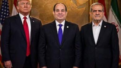 رحب الرئيس عبد الفتاح السيسي بتوقيع مذكرة التفاهم بين أمريكا وإيران بقيادة ترامب وبزشكيان