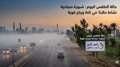 حالة الطقس اليوم.. الأرصاد تحذر من شبورة كثيفة ونشاط للرياح