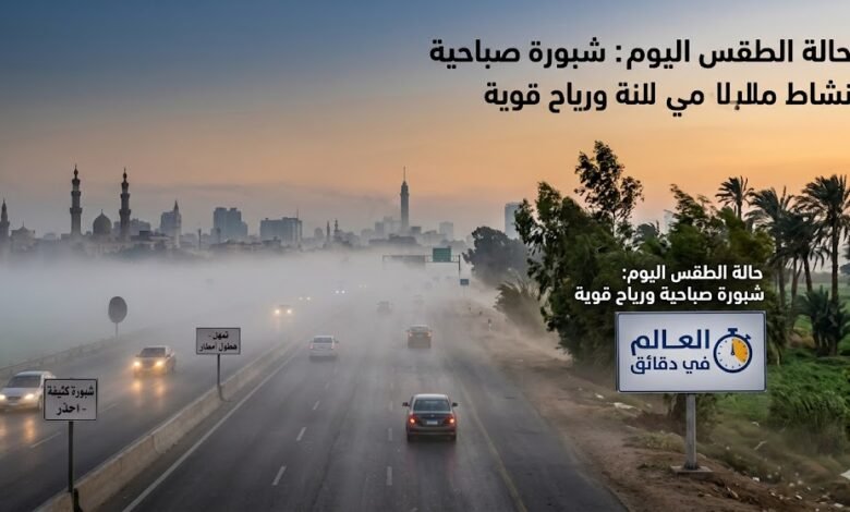 حالة الطقس اليوم.. الأرصاد تحذر من شبورة كثيفة ونشاط للرياح