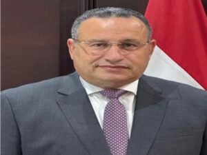 عبد العزيز قنصوة وزير التعليم العالي