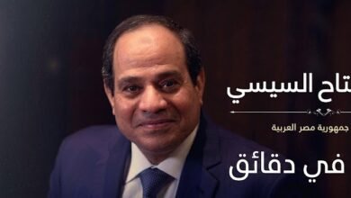 دبلوماسية الحكمة.. الرئيس السيسي