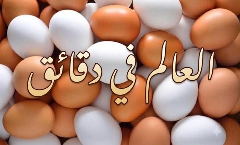 إنتاج يومي يبلغ 44 مليون بيضة،