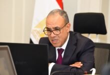 وزارة الخارجية تشيد بدعم المصريين بالخارج للمنتخب الوطني