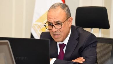 وزارة الخارجية تشيد بدعم المصريين بالخارج للمنتخب الوطني