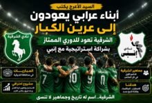 السيد الأعرج يكتب | أبناء عرابي يعودون إلى عرين الكبار.. عودة نادي الشرقية إلى الدوري الممتاز بعد الشراكة مع إنبي تشعل تريند الكرة المصرية عودة نادي الشرقية إلى الدوري الممتاز