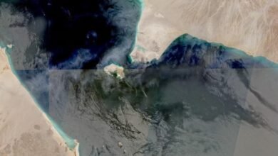 إيران أبلغت الحوثيين بالاستعداد لإغلاق باب المندب إذا استهدفت واشنطن شبكة الكهرباء