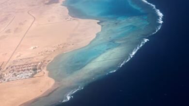 الحوثيون يدرسون فرض رسوم على السفن العابرة للبحر الأحمر.. واستثناء محتمل للصين