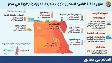 حالة الطقس المتوقعة: درجات الحرارة ونسب الرطوبة في مصر