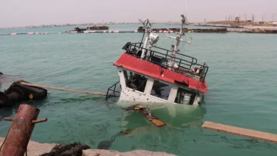 هجوم حوثي في باب المندب يستهدف سفينة شحن في البحر الأحمر