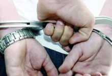 جريمة أسرية تهز الإسكندرية.. شقيقان ينهيان حياة شقيقتهما