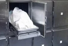 العثور على جثمان زوجين داخل شقة بالمرج.. والأمن يفحص ملابسات الواقعة