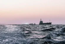 سفن تجارية متوقفة في مياه الخليج مع مخاوف من انتقال أنواع بحرية غازية.