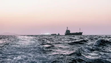 سفن تجارية متوقفة في مياه الخليج مع مخاوف من انتقال أنواع بحرية غازية.