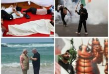 حزب الصراصير في الهند