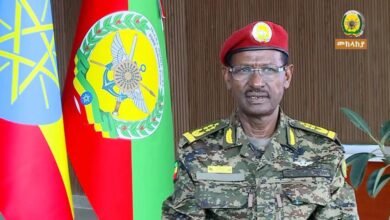 اتهامات إثيوبية لمصر والسودان بدعم المعارضة