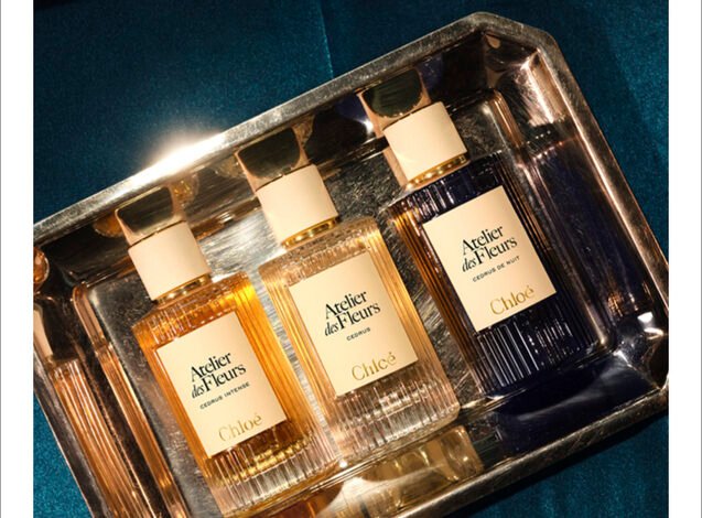 «ملكة الليل» تتوهج في عطر Chloé الجديد Cedrus de Nuit