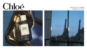 «ملكة الليل» تتوهج في عطر Chloé الجديد Cedrus de Nuit