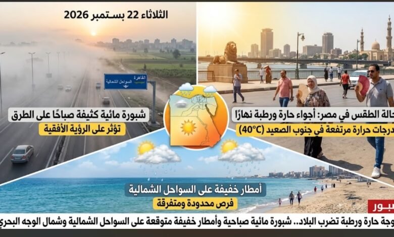 حالة الطقس اليوم في مصر.. أجواء حارة وشبورة صباحية وأمطار خفيفة على بعض المناطق