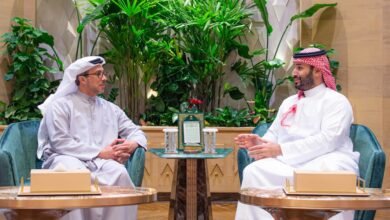 دلالات لقاء محمد بن سلمان ومنصور بن زايد
