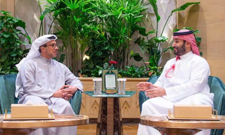 دلالات لقاء محمد بن سلمان ومنصور بن زايد