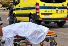 أصدام سيارة مسرعة امًا و أبنتها علي طريق الباجور شبين الكوم