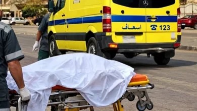 أصدام سيارة مسرعة امًا و أبنتها علي طريق الباجور شبين الكوم