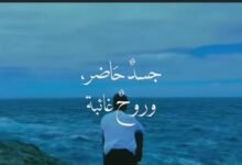 فلسفة الرضوخ للواقع: حين يكون الصمت أطول صرخة، والحكمة موت الكبرياء